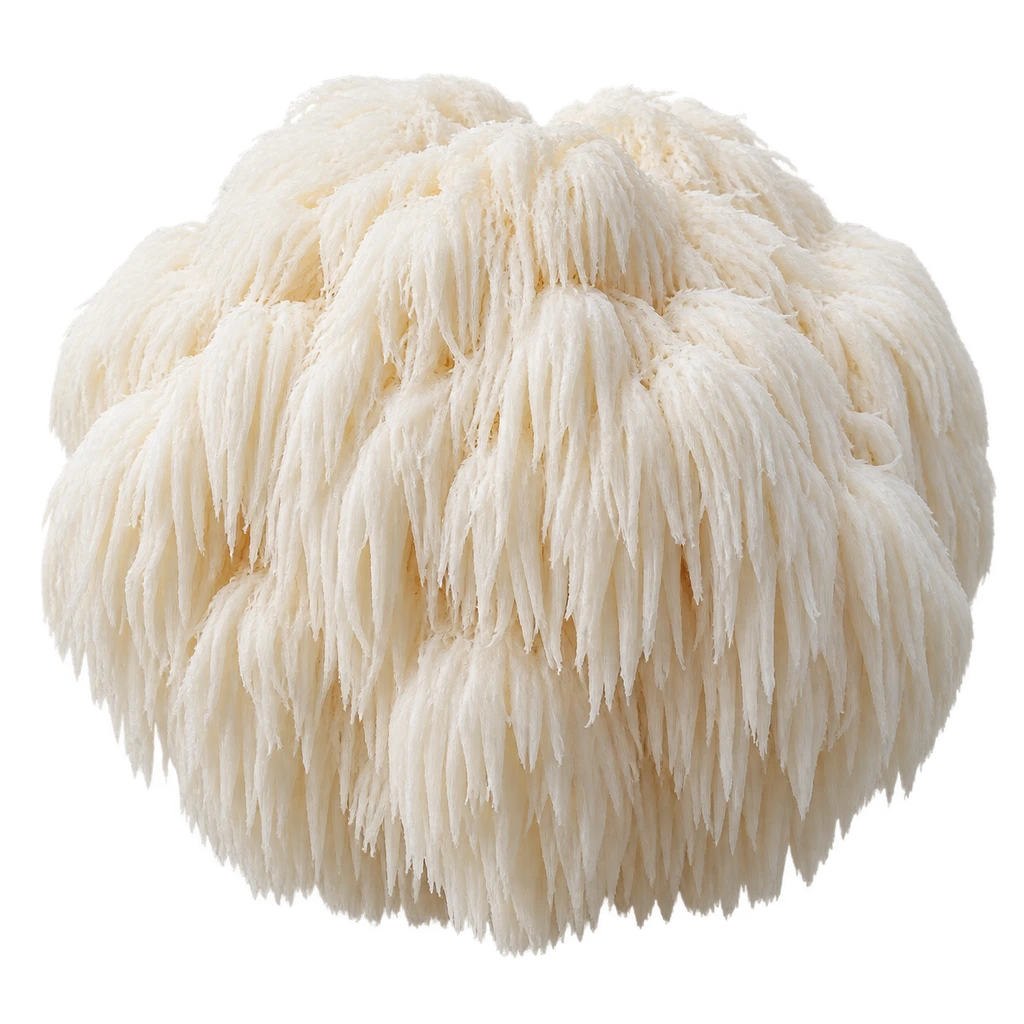 lion's mane