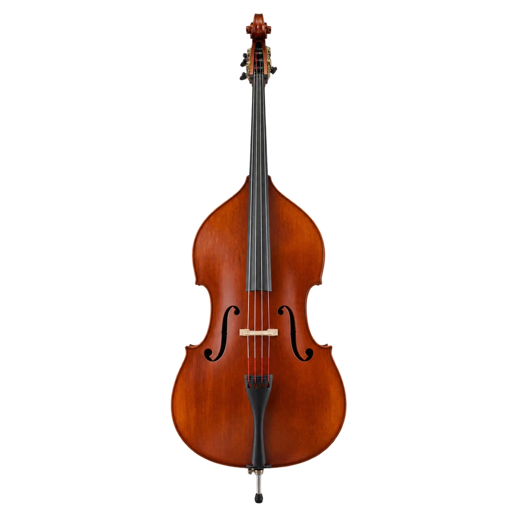 double bass