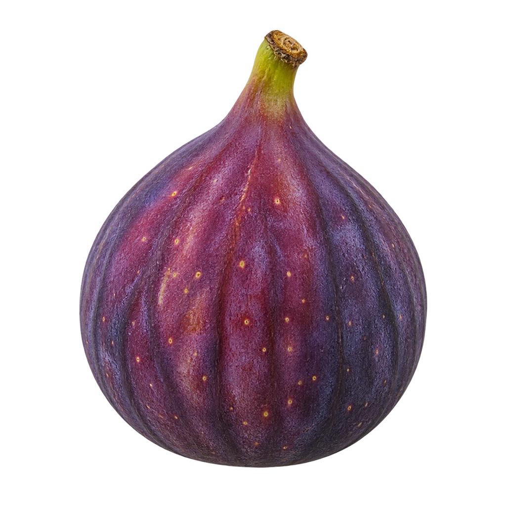 fig