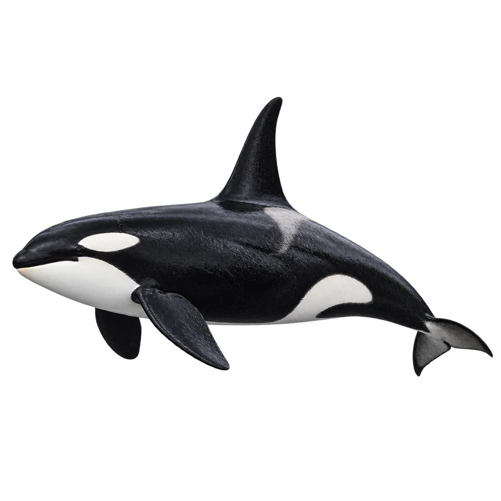 orca