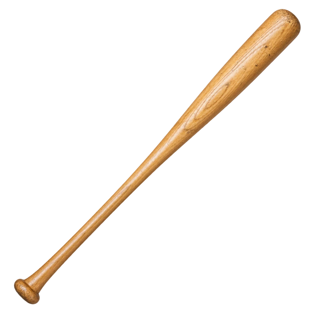 baseball bat